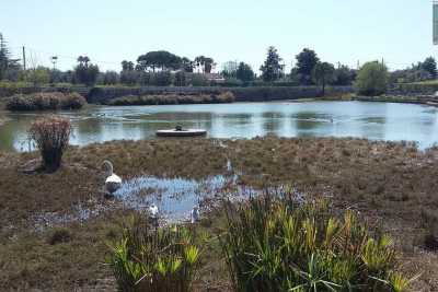 Conversano e i suoi laghi: i segreti di quegli insoliti e pittoreschi specchi d'acqua